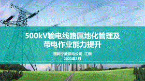 江炯-500KV属地化管理及带电作业能力提升.pdf