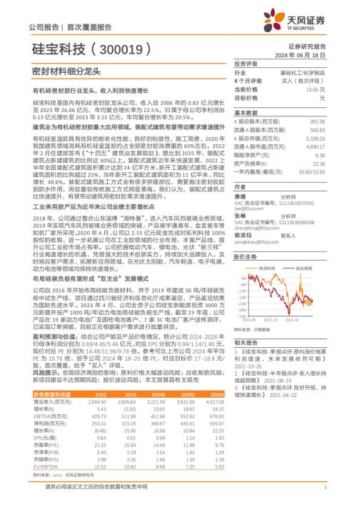 硅宝科技-公司研究报告-密封材料细分龙头-240618(27页).pdf