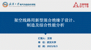 架空线路用免维护混合绝缘子设计、制造及综合性能分析.pdf
