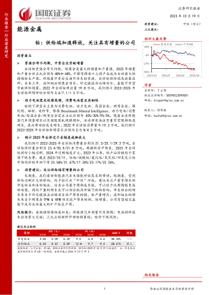 能源金属行业：钴供给端加速释放关注具有增量的公司-231019（27页）.pdf-DAJI