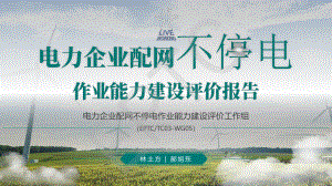 林土方-电力企业配网不停电作业能力建设评价报告.pdf