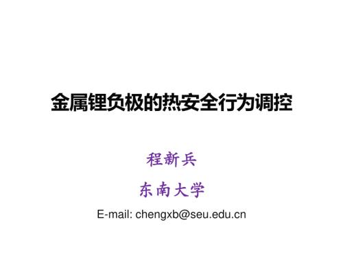金属锂负极的热安全行为调控-程新兵.pdf