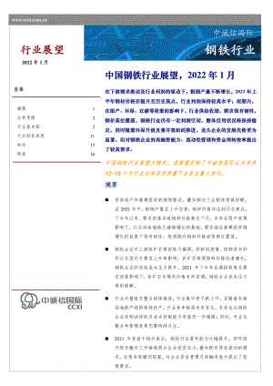 中诚信国际:中国钢铁行业展望2022年1月(19页).pdf