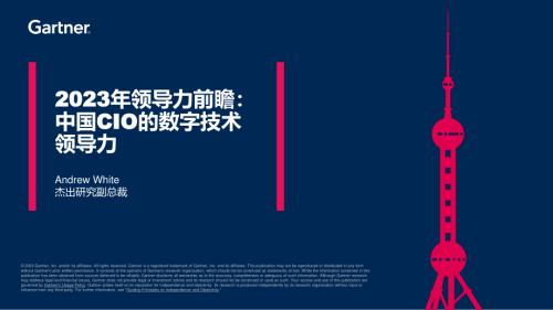 2023年领导力远景:中国首席信息官(CIO)的数字技术领导力.pdf