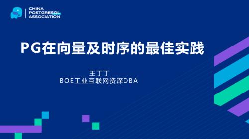 8-王丁丁-PG在向量及时序的最佳实践.pdf