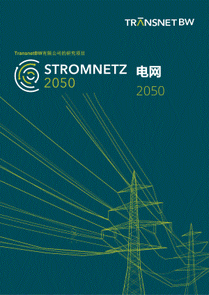 TransnetBW:电网2050(62页).pdf